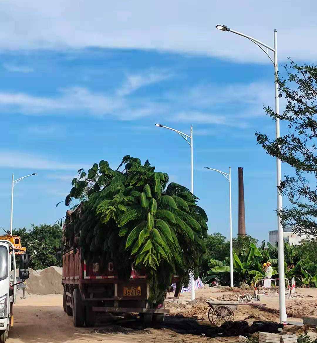 雷速体育在线开户,雷速体育（中国）助力东莞洪梅万科星城道路亮化工程